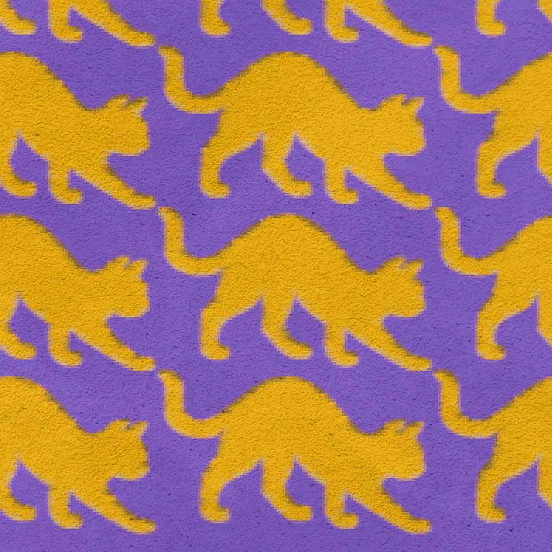 Your story harrogate graphic available as a print with or without a frame. Graphic shows close up of Cats & cats & cats puurrrfect beats graphic. The graphic shows yellow cats repeat pattern on a purple distressed background.