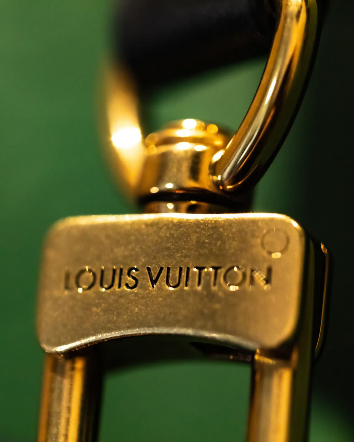 Close-up detail of a Louis Vuitton bag clasp in polished gold hardware, with the engraved Louis Vuitton logo in focus against a soft green blurred background.