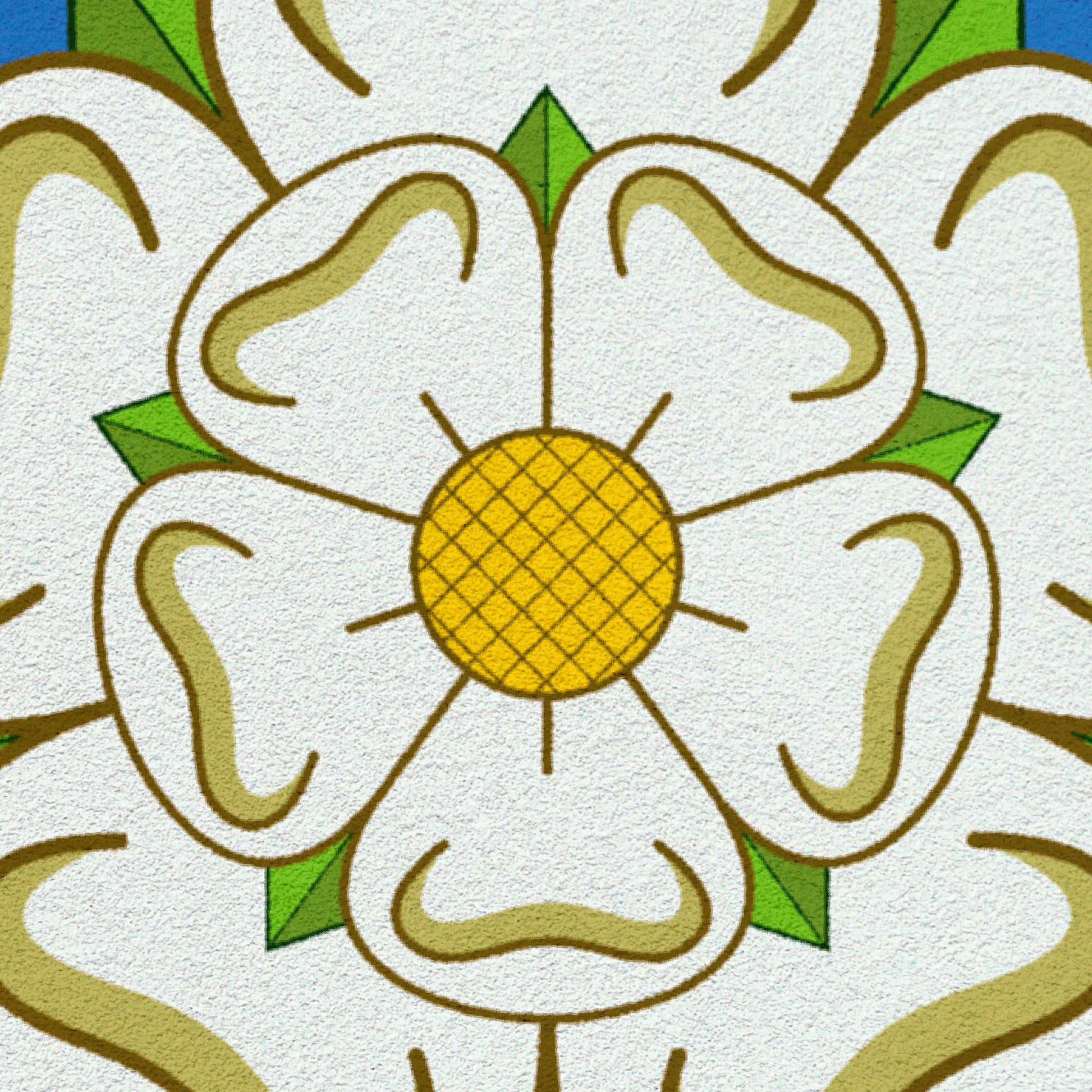 Your story harrogate graphic available as a print with or without a frame. Graphic shows close up of Yorkshire Rose graphic. The graphic shows the white rose of Yorkshire on a blue distressed background.